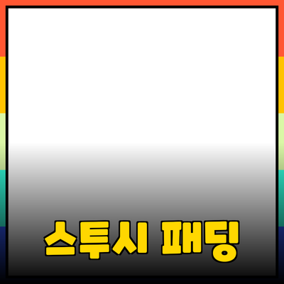 스투시패딩, 겨울 스타일 완성의 정석