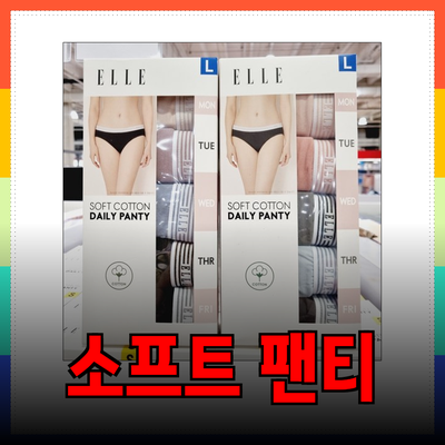 엘르팬티로 편안함과 스타일을 동시에! 여성 소프트 팬티 소개