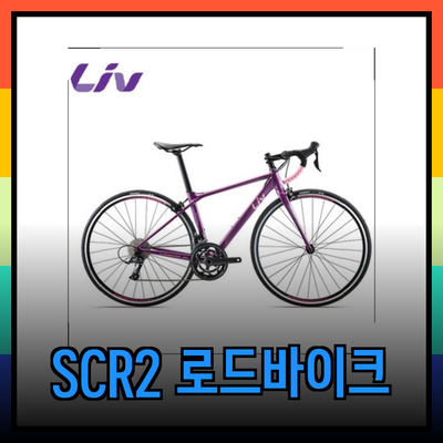 자이언트SCR2로 시작하는 로드바이크 입문기
