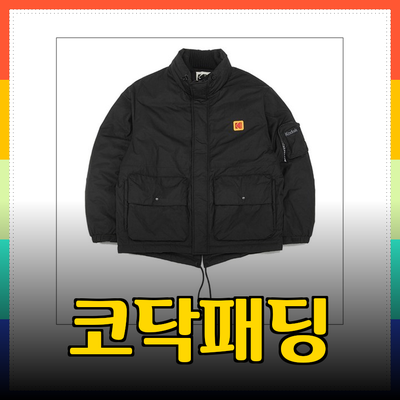 코닥패딩: 스타일과 기능성을 겸비한 완벽한 겨울 아이템 소개