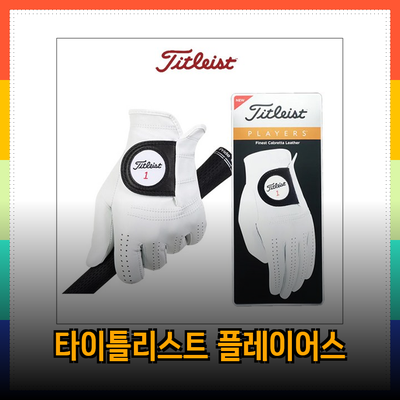 타이틀리스트 플레이어스 제품 소개와 선택 가이드