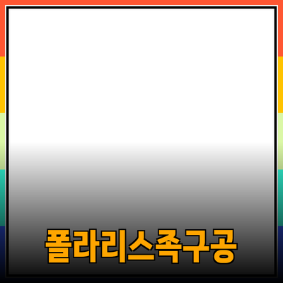 폴라리스족구공 8판넬의 모든 것: 완벽한 선택을 위한 가이드