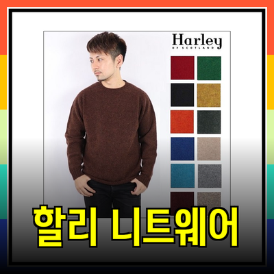 할리 오브 스코틀랜드: 울 니트로 경험하는 우아함과 따뜻함