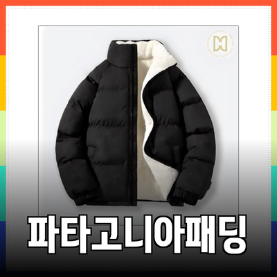 따뜻하고 스타일리시한 겨울을 위한 파타고니아패딩 추천 제품 소개