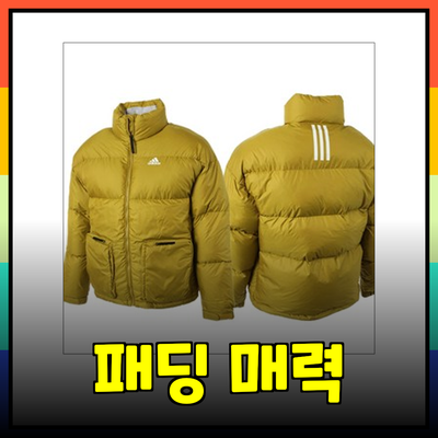 아디다스 패딩의 매력