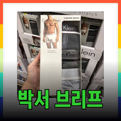 최고의 박서 브리프를 소개합니다: 켈빈클라인과 챔피언의 매력을 알아보세요!